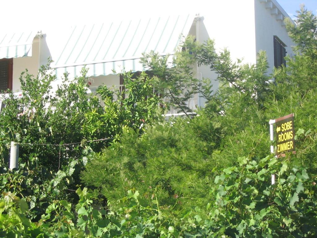 Guest House Kola Slano Luaran gambar